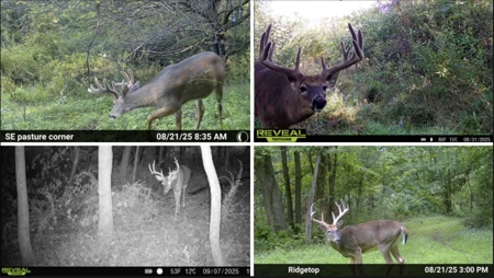Driftless Trophy Whitetail Legacy Farm – Proven Big Buck Property - image 36