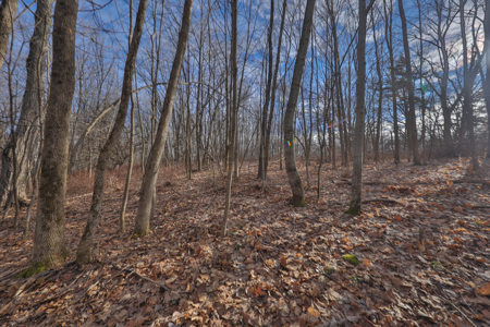 Driftless Trophy Whitetail Legacy Farm – Proven Big Buck Property - image 40