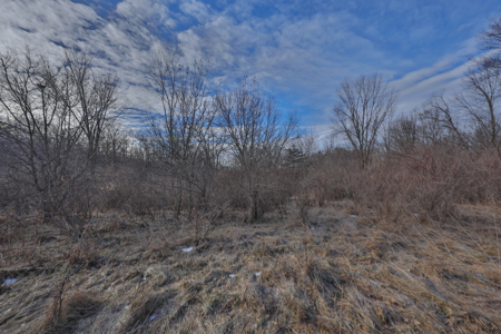 Driftless Trophy Whitetail Legacy Farm – Proven Big Buck Property - image 29