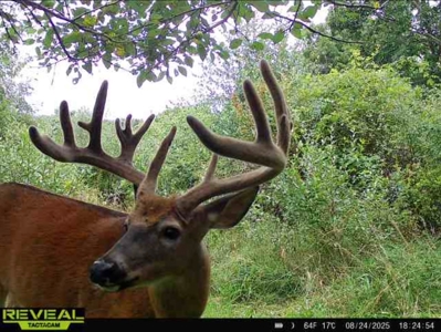 Driftless Trophy Whitetail Legacy Farm – Proven Big Buck Property - image 1