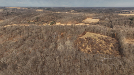 Driftless Trophy Whitetail Legacy Farm – Proven Big Buck Property - image 13