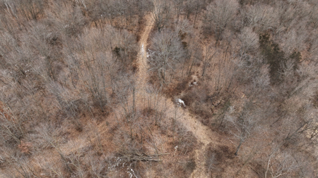 Driftless Trophy Whitetail Legacy Farm – Proven Big Buck Property - image 31