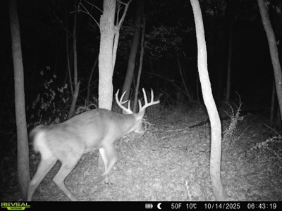Driftless Trophy Whitetail Legacy Farm – Proven Big Buck Property - image 45