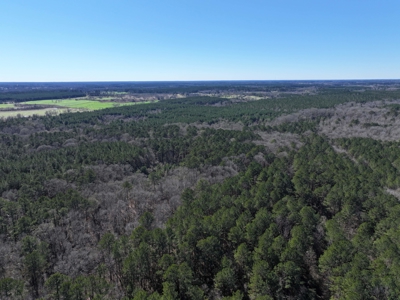 75 Acre Creekfront Property For Sale Lincoln County Mississippi - image 27