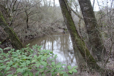 75 Acre Creekfront Property For Sale Lincoln County Mississippi - image 8