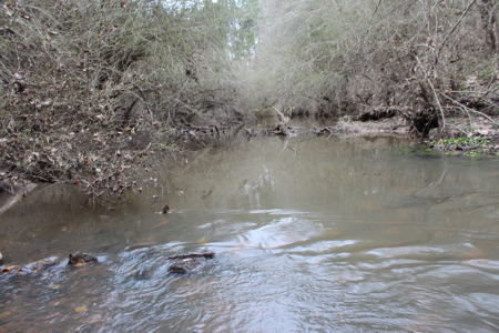 75 Acre Creekfront Property For Sale Lincoln County Mississippi - image 12