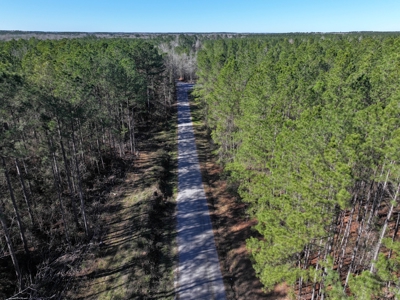 75 Acre Creekfront Property For Sale Lincoln County Mississippi - image 29