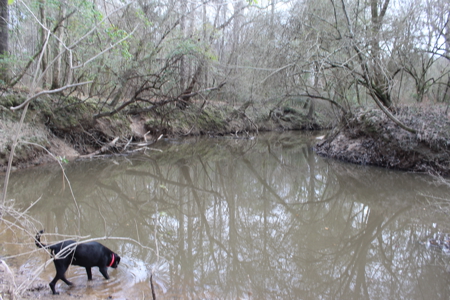 75 Acre Creekfront Property For Sale Lincoln County Mississippi - image 24