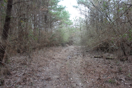 75 Acre Creekfront Property For Sale Lincoln County Mississippi - image 14