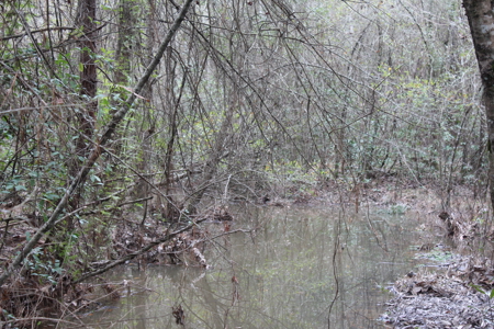 75 Acre Creekfront Property For Sale Lincoln County Mississippi - image 22