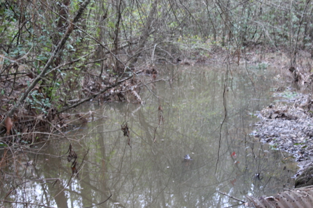 75 Acre Creekfront Property For Sale Lincoln County Mississippi - image 21