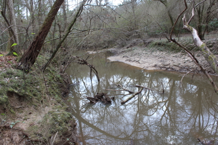 75 Acre Creekfront Property For Sale Lincoln County Mississippi - image 26