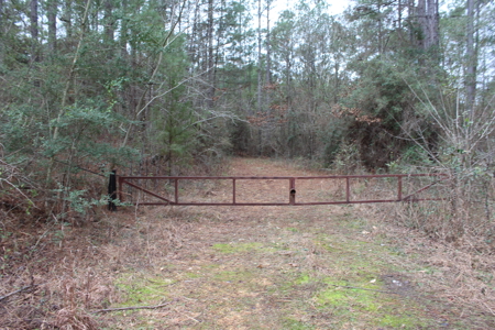 75 Acre Creekfront Property For Sale Lincoln County Mississippi - image 2