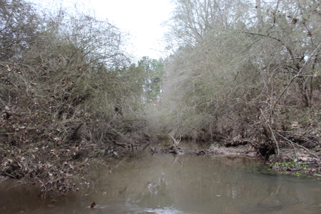 75 Acre Creekfront Property For Sale Lincoln County Mississippi - image 11