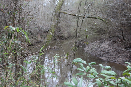 75 Acre Creekfront Property For Sale Lincoln County Mississippi - image 7