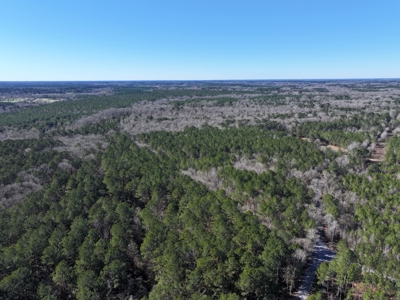 75 Acre Creekfront Property For Sale Lincoln County Mississippi - image 28