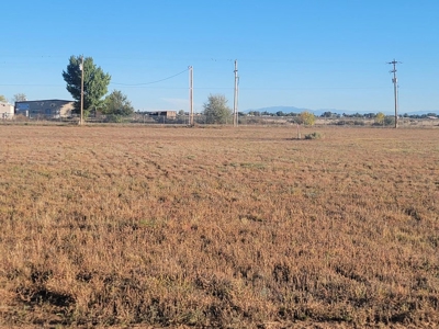 Half Acre Estate Lot for Sale in Moriarty New Mexico - image 1