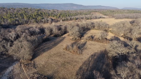 345 +/- Acres | Latimer County, Oklahoma - image 4