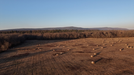 345 +/- Acres | Latimer County, Oklahoma - image 25