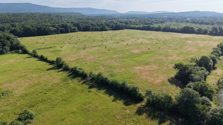 345 +/- Acres | Latimer County, Oklahoma - image 27