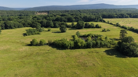 345 +/- Acres | Latimer County, Oklahoma - image 25