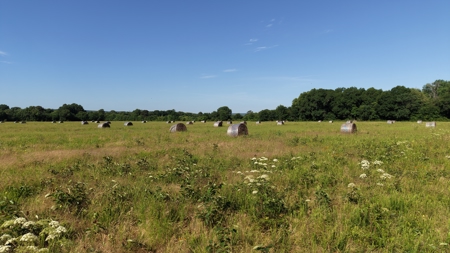 345 +/- Acres | Latimer County, Oklahoma - image 31