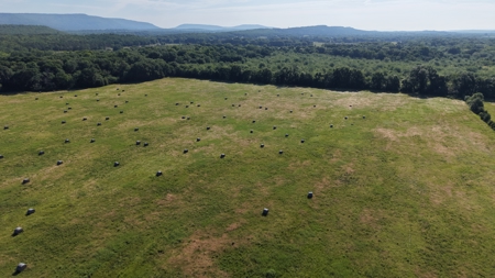 345 +/- Acres | Latimer County, Oklahoma - image 29