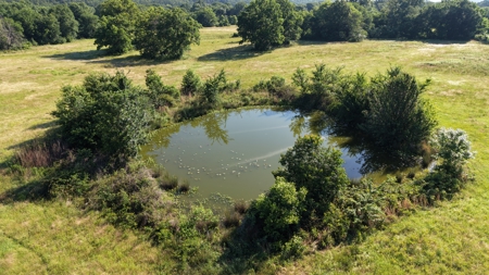 345 +/- Acres | Latimer County, Oklahoma - image 4