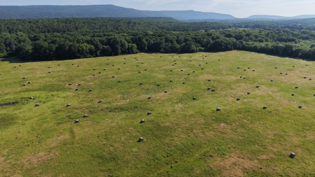 345 +/- Acres | Latimer County, Oklahoma - image 28