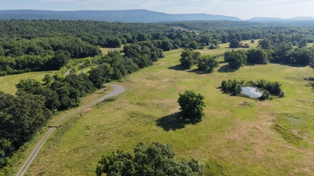 345 +/- Acres | Latimer County, Oklahoma - image 3