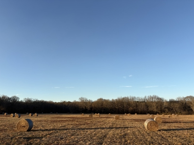 345 +/- Acres | Latimer County, Oklahoma - image 28