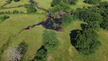 345 +/- Acres | Latimer County, Oklahoma - image 37
