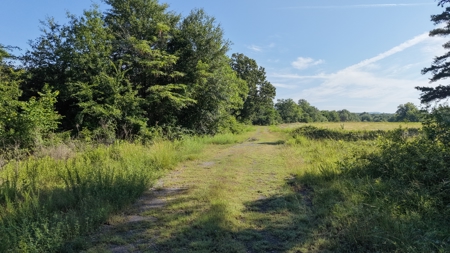 345 +/- Acres | Latimer County, Oklahoma - image 7