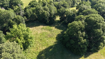 345 +/- Acres | Latimer County, Oklahoma - image 16