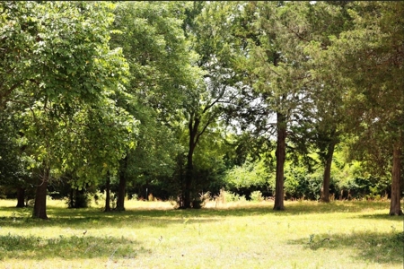 Bonham TX Gated Estate on 11.12 Acres | Pool & 40x60 Shop - image 7