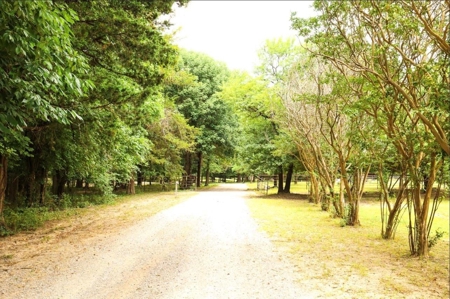 Bonham TX Gated Estate on 11.12 Acres | Pool & 40x60 Shop - image 12