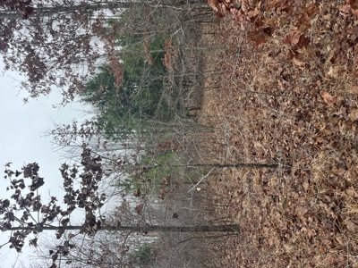 80± Acres with 1,680 Ft of Hwy 64 Frontage in Wayne County, TN. - image 1