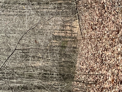 80± Acres with 1,680 Ft of Hwy 64 Frontage in Wayne County, TN. - image 21