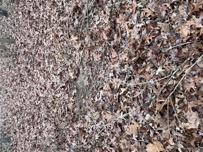 80± Acres with 1,680 Ft of Hwy 64 Frontage in Wayne County, TN. - image 23