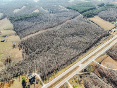 80± Acres with 1,680 Ft of Hwy 64 Frontage in Wayne County, TN. - image 6