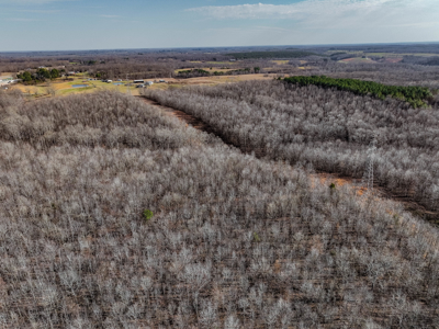 80± Acres with 1,680 Ft of Hwy 64 Frontage in Wayne County, TN. - image 12