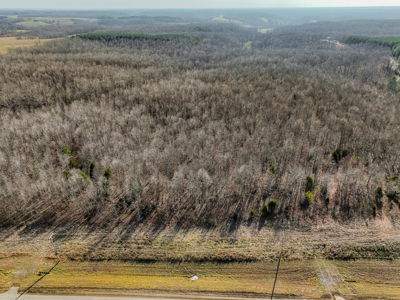 80± Acres with 1,680 Ft of Hwy 64 Frontage in Wayne County, TN. - image 4