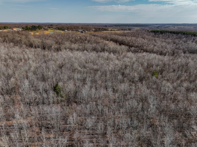 80± Acres with 1,680 Ft of Hwy 64 Frontage in Wayne County, TN. - image 13