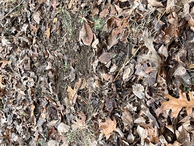 80± Acres with 1,680 Ft of Hwy 64 Frontage in Wayne County, TN. - image 28