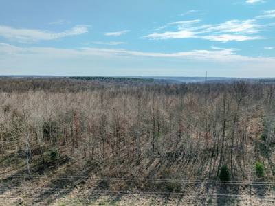 80± Acres with 1,680 Ft of Hwy 64 Frontage in Wayne County, TN. - image 3