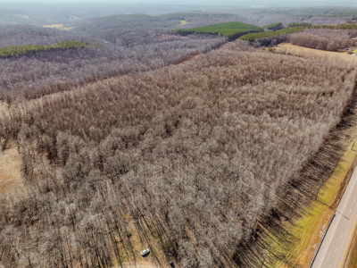 80± Acres with 1,680 Ft of Hwy 64 Frontage in Wayne County, TN. - image 8