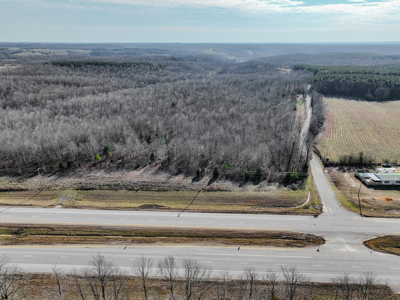 80± Acres with 1,680 Ft of Hwy 64 Frontage in Wayne County, TN. - image 11