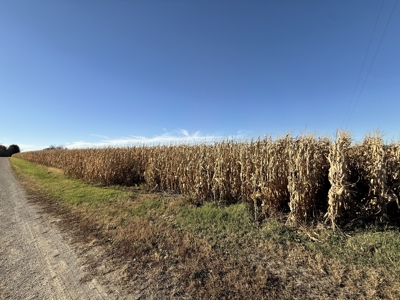 Agricultural Investment Opportunity For Sale in Hayfield, MN - image 26
