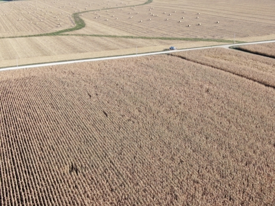 Agricultural Investment Opportunity For Sale in Hayfield, MN - image 12