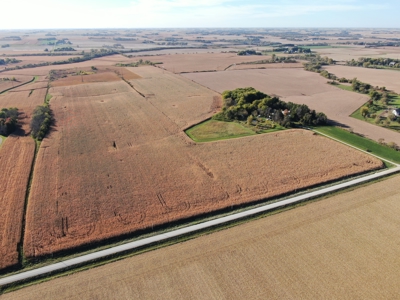 Agricultural Investment Opportunity For Sale in Hayfield, MN - image 22